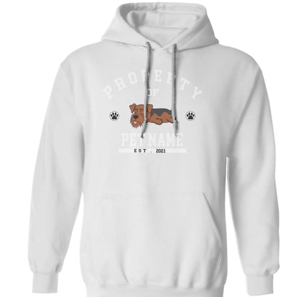 620b5781b96e0_large