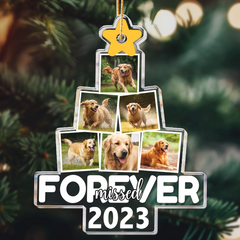 Photo Pet Memorial - Personalized Acrylic Photo Ornament